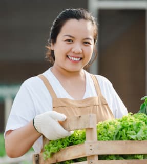 Fresh vegetables